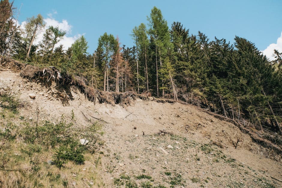 Photo for: Landslide Safety Law Underfunded as Implementation Stalls