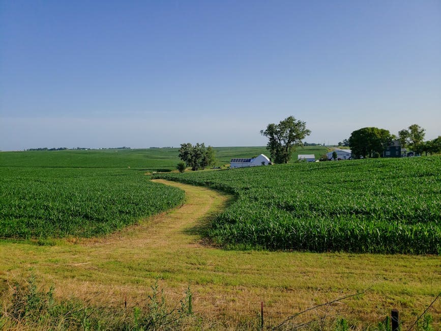 Photo for: Hinson Leads Iowa Senate Race Exponentially In Terms of Funding