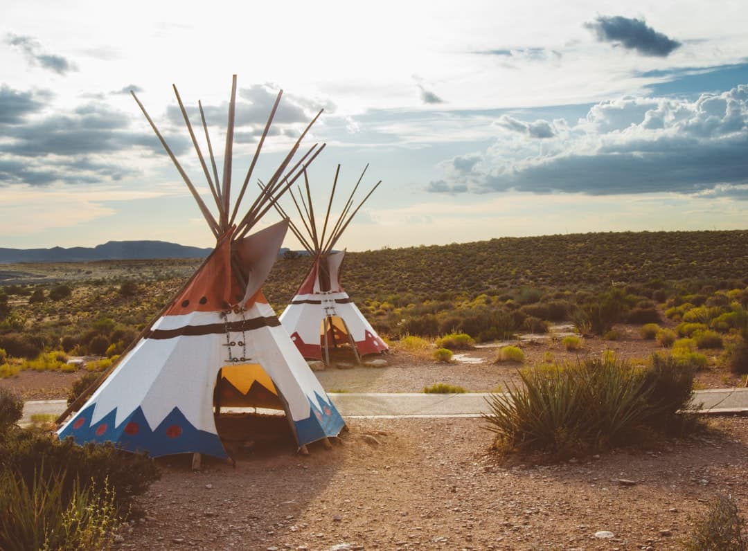 Photo for: Red Mountain Land Preservers Hires Mehlman Consulting