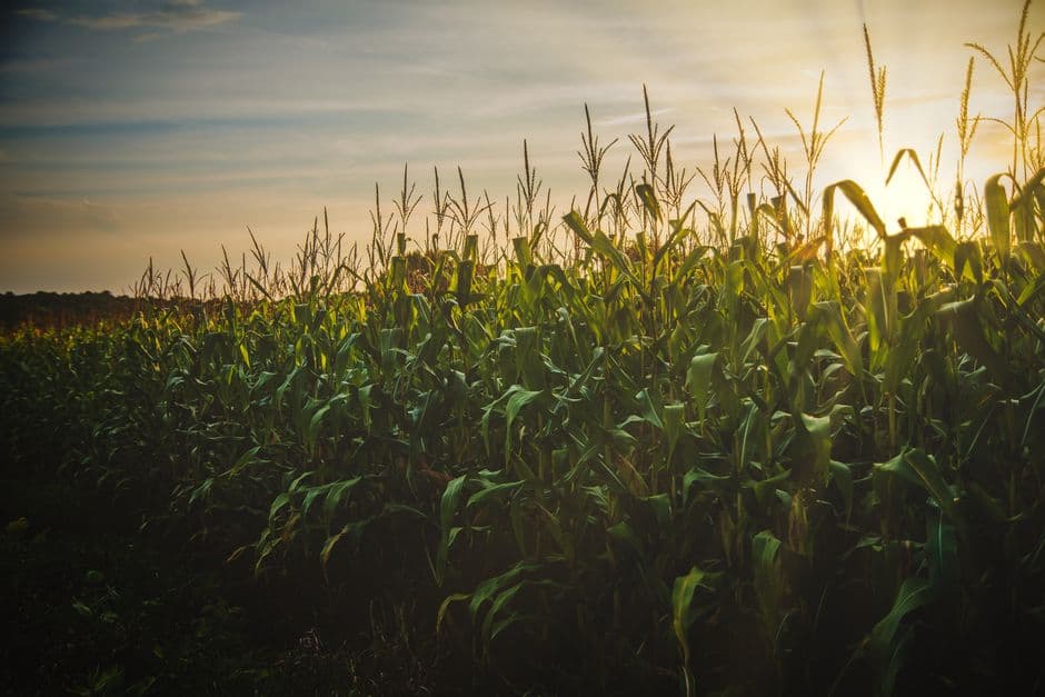 Photo for: Committee To Shape Farm Trade 