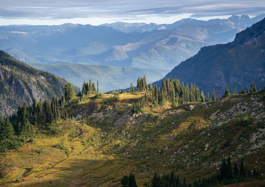 Photo for: Senate Votes on Nominees for Leadership Roles on Public Lands