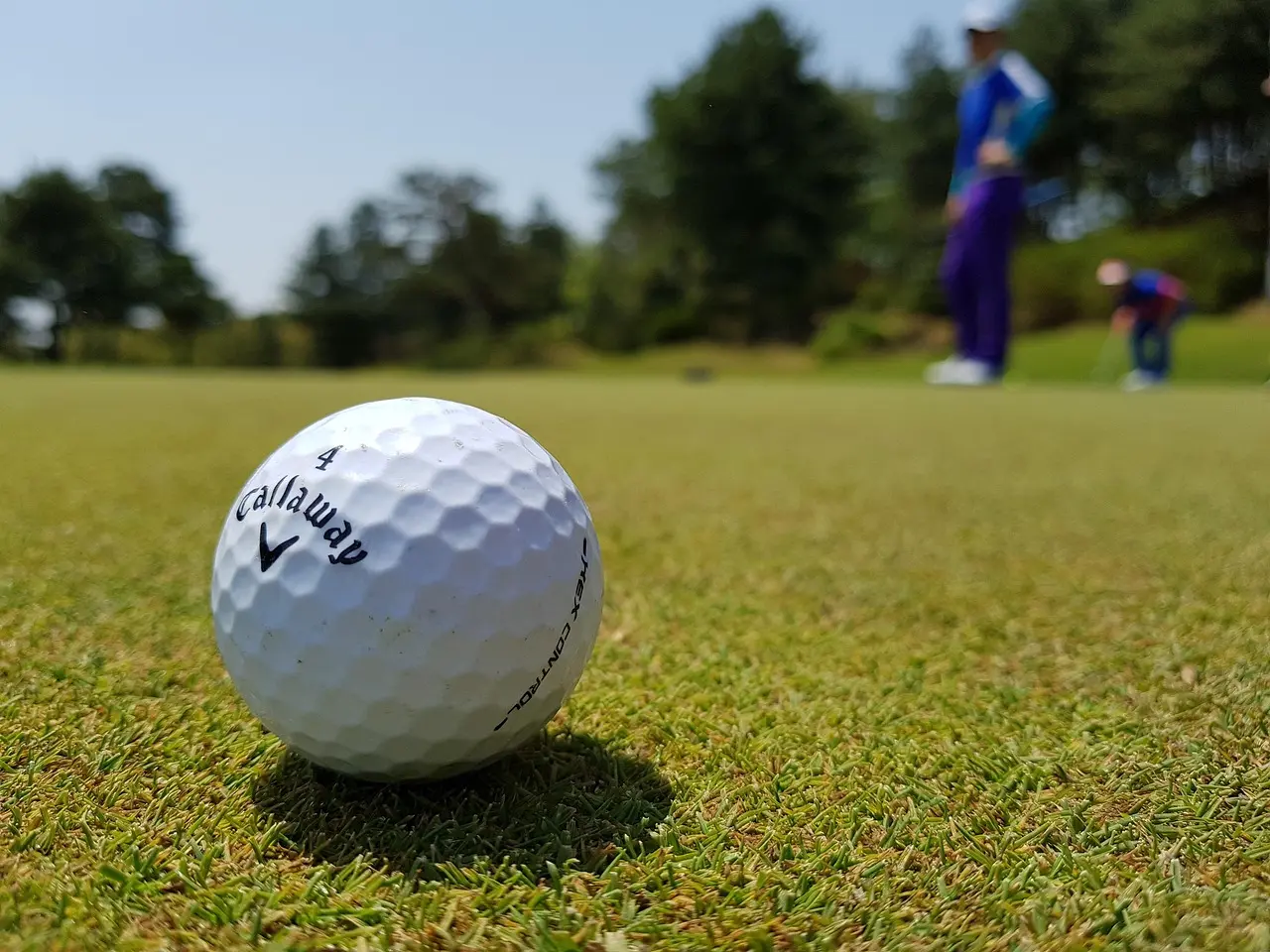 Photo for: PGA Tour Hires FGS Global to Defend Tax Status
