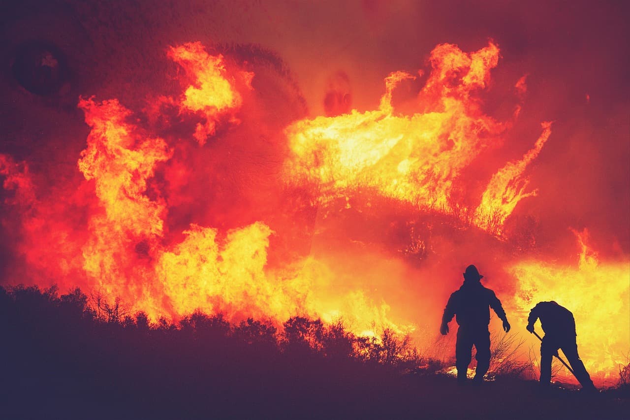 Photo for: Forest Service Reorganization Clashes With Wildfire Season Cuts